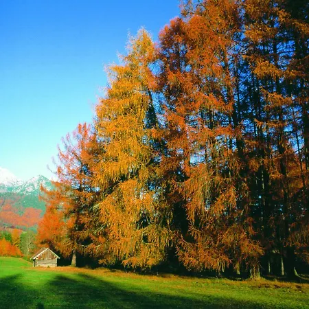 Gastehaus Hosp * Obsteig