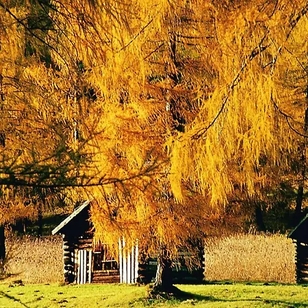 Apartmán Gastehaus Hosp