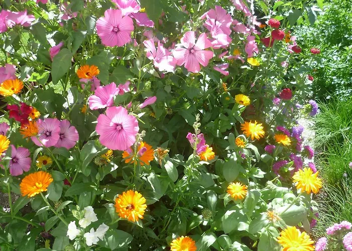 Gastehaus Hosp Apartmán