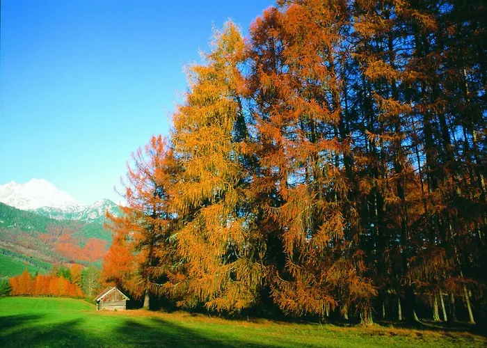 Gastehaus Hosp * Obsteig