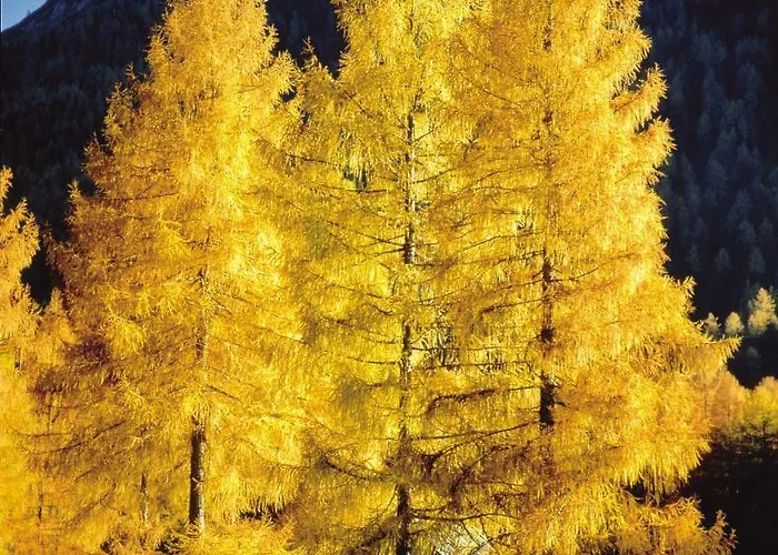 Apartmán Gastehaus Hosp *