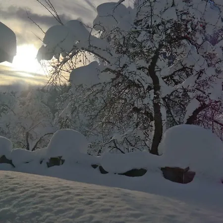 Apartment Gästehaus Hosp