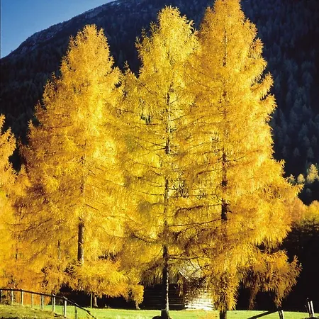 Apartment Gästehaus Hosp *